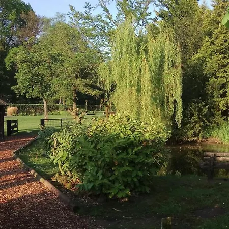 't Hoge Bruggetje Bed & Breakfast *