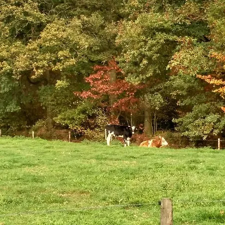 't Hoge Bruggetje